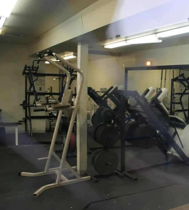 Detalle de la zona de máquinas y racks de Iron Fit Gym